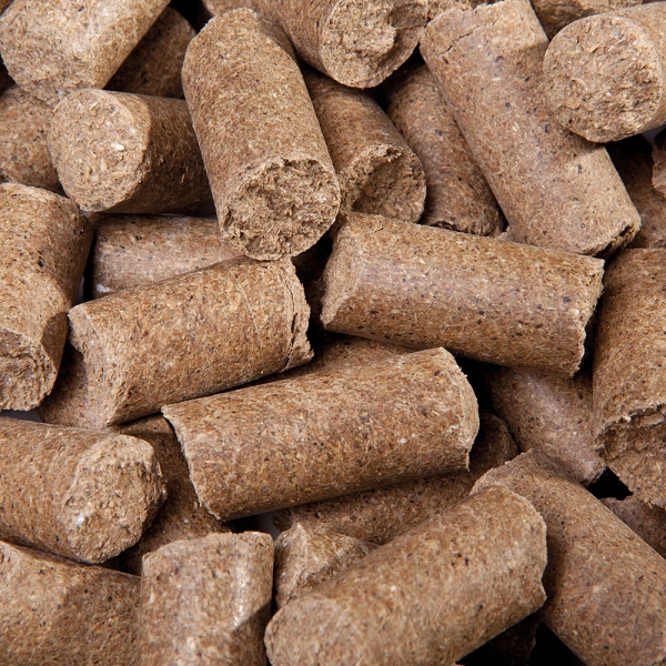 Eggersmann Lecker Bricks Apfel Detailbild Belohnungs Pellet
