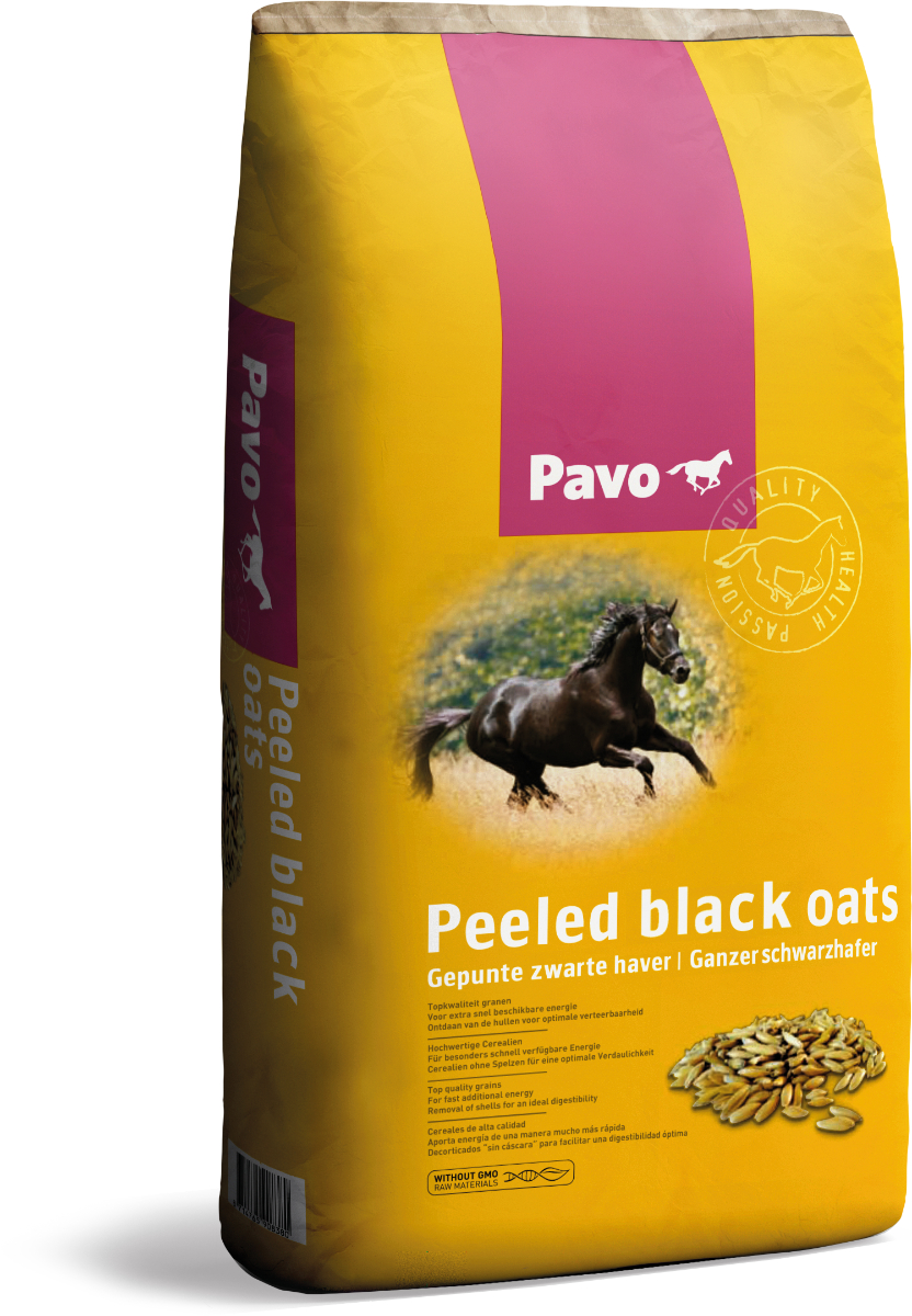 Peeled Black Oats (Schwarzhafer)