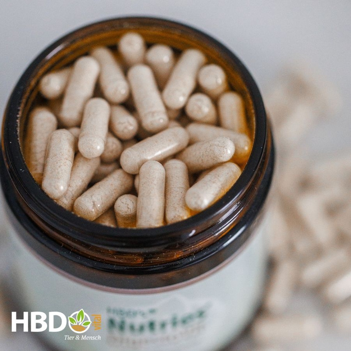 Nutries® DigestoVit