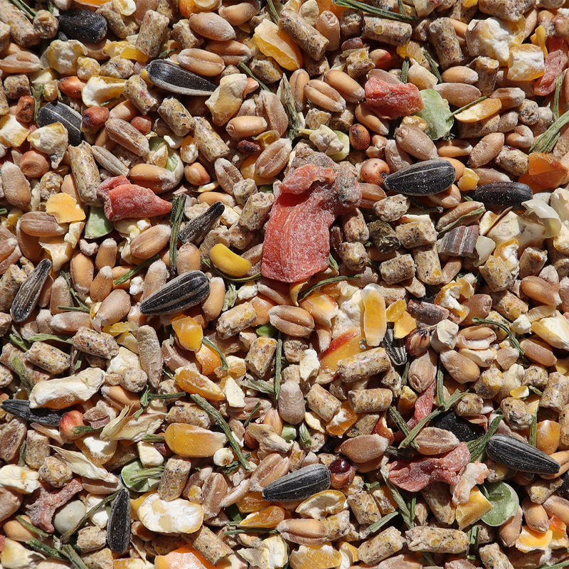 Produktansicht - Eggersmann Körnerpick -  Struktur-Körnermix Oregano