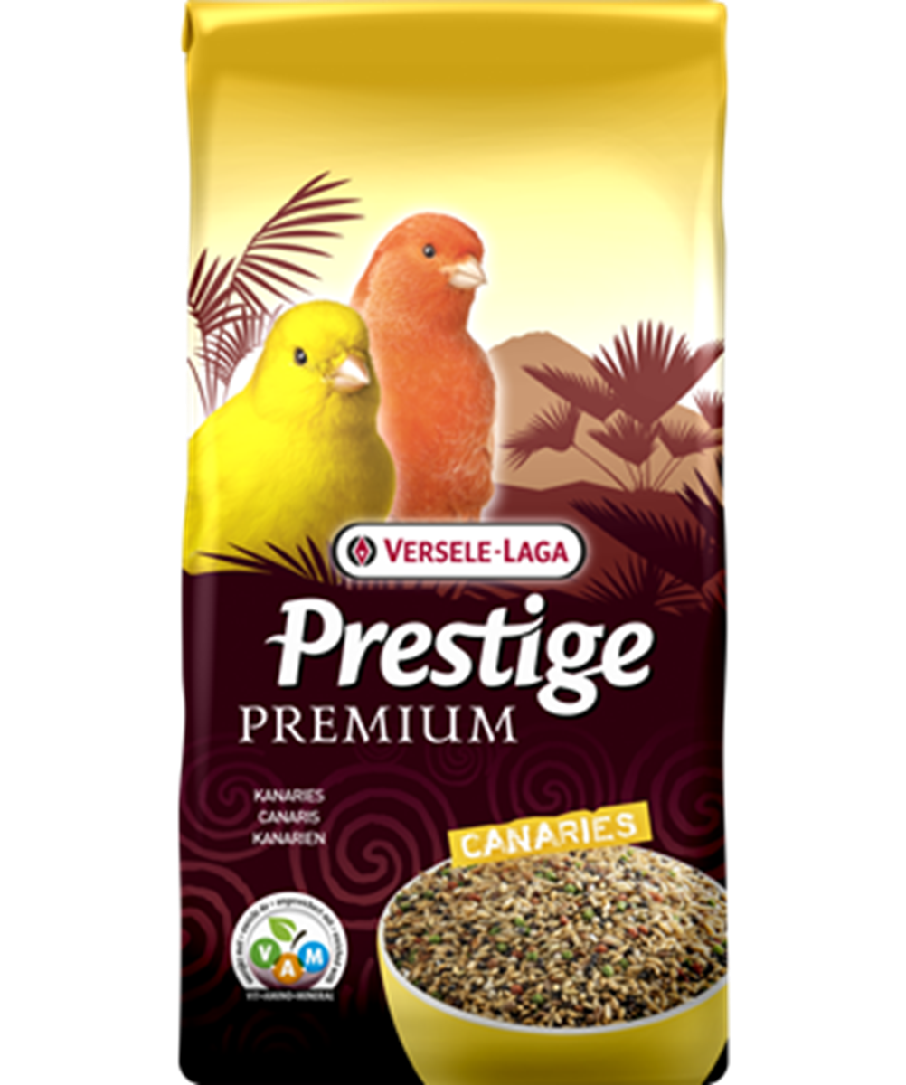 Premium Kanarien