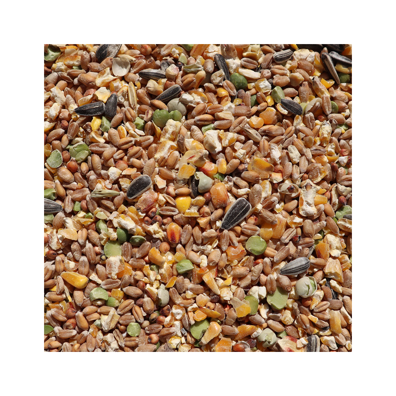 Eggersmann Körnerpick Körnerfutter Premium Detailbild Körnermischung