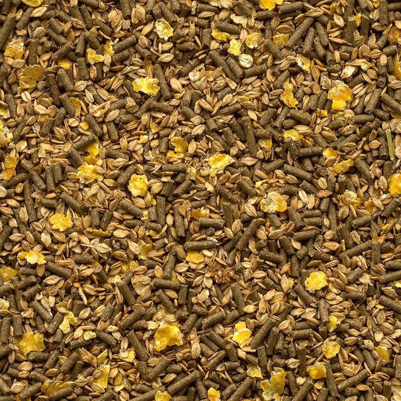 Galopp Mix Müsli Detailbild